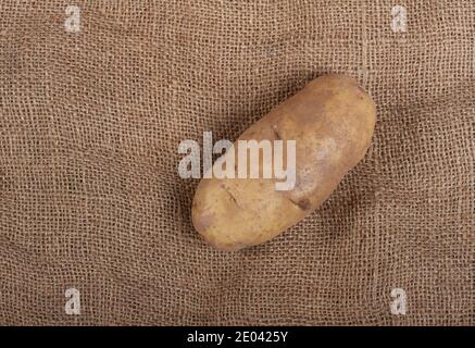 Idaho Russet Potato (tuberosum al solanum) Foto Stock