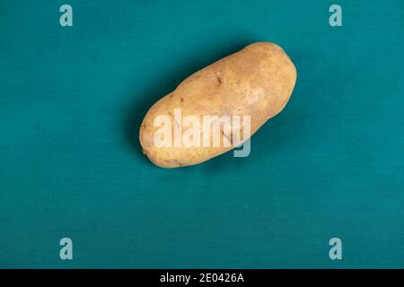 Idaho Russet Potato (tuberosum al solanum) Foto Stock