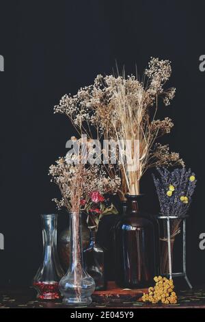 Raccolta a mano, arrangiamento di fiori secchi su sfondo nero. Immagine scura e astratta di vecchie bottiglie di vetro d'epoca e vasi con fiori secchi Foto Stock