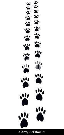 Paw Trail, la zampa stampa footprint di cani da gatto animali, prospettiva vettoriale via percorso Illustrazione Vettoriale