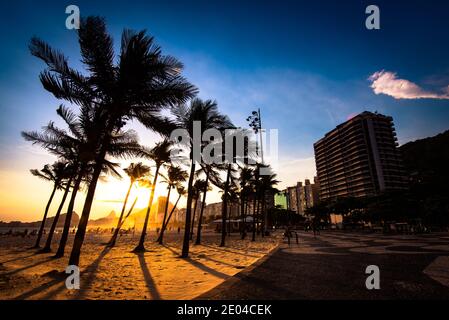 Palme al tramonto a Copacabana Beach, Rio de Janeiro, Brasile Foto Stock