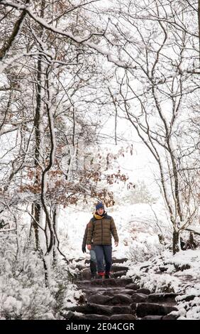 Persone che camminano lungo un sentiero in bosco innevato Inverno su Bosley Cloud vicino a Congleton Cheshire Inghilterra UK Foto Stock