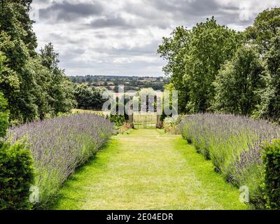 I giardini di Canons Ashby, un maniero elisabettiano situato a Canons Ashby, Northamptonshire, Inghilterra. Foto Stock