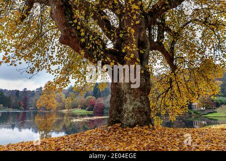 Scena sul lago in autunno a Stourhead nel Wiltshire, Inghilterra. Foto Stock