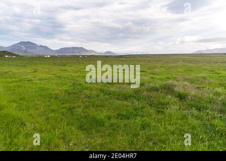 Campo erboso sotto il cielo nuvoloso nella campagna dell'islanda in estate Foto Stock