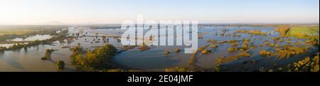 Paesaggio panoramico con prati allagati e boschi in zona ripariale Foto Stock