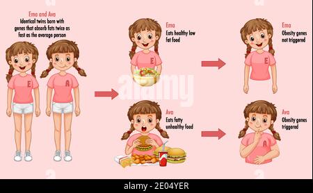 Ruoli dei geni e dell'ambiente. Tessuto adiposo corporeo in due gemelli identici infografica. Illustrazione Illustrazione Vettoriale