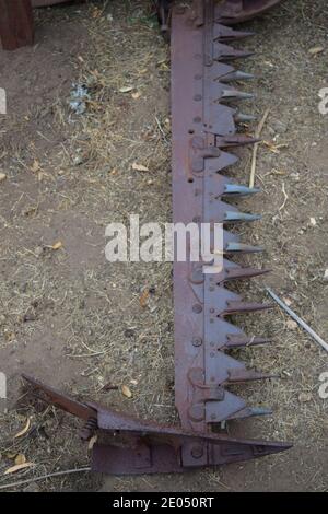 Vecchie attrezzature agricole al Daley Ranch, Escondido, California. Foto Stock