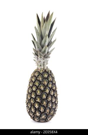 delizioso ananas di fronte a sfondo bianco Foto Stock