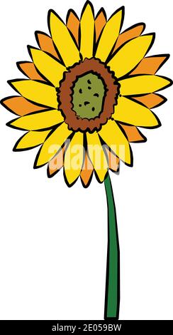 Illustrazione dello stock di girasole, vettore isolato su sfondo bianco Illustrazione Vettoriale