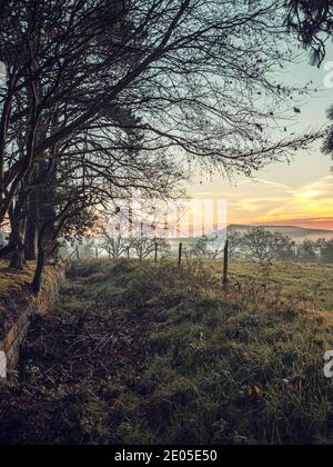 Un campo ghiacciato all'alba. Gli strati di nebbia si depositano sopra il terreno più basso attraverso una vista classica della campagna britannica all'alba in inverno. Foto Stock