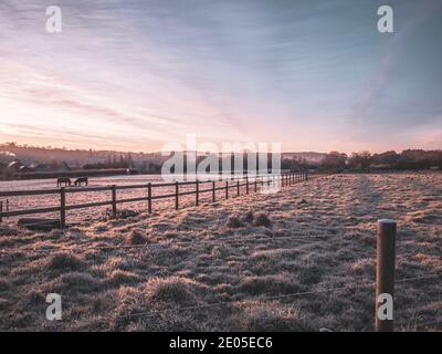 Un campo ghiacciato all'alba. Gli strati di nebbia si depositano sopra il terreno più basso attraverso una vista classica della campagna britannica all'alba in inverno. Foto Stock