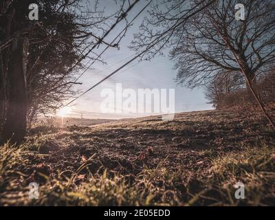 Un campo ghiacciato all'alba. Gli strati di nebbia si depositano sopra il terreno più basso attraverso una vista classica della campagna britannica all'alba in inverno. Foto Stock