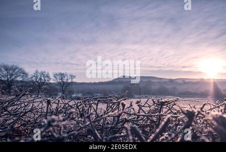 Un campo ghiacciato all'alba. Gli strati di nebbia si depositano sopra il terreno più basso attraverso una vista classica della campagna britannica all'alba in inverno. Foto Stock