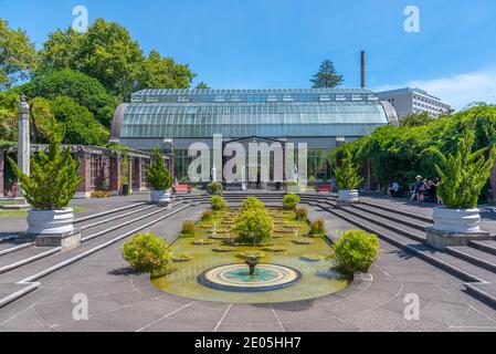 AUCKLAND, NUOVA ZELANDA, 20 FEBBRAIO 2020: Auckland Domain WinterGardens in Nuova Zelanda Foto Stock