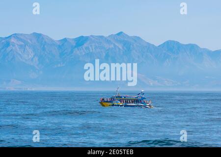 KAIKOURA, NUOVA ZELANDA, 3 FEBBRAIO 2020: Barca turistica in un modo per vedere le balene spermatiche a Kaikoura, Nuova Zelanda Foto Stock