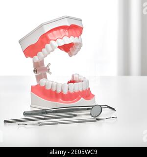 Concetto di stomatologia e trattamento dentale. Modello anatomico di denti e dispositivi medici sul tavolo del dentista, primo piano Foto Stock