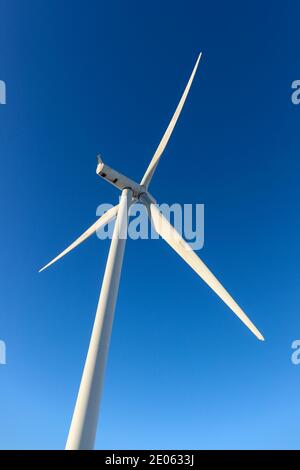 Pale di una turbina eolica contro un cielo blu, Whitelee Windfarm, Eaglesham Moor, vicino a Glasgow, Scozia, Regno Unito Foto Stock