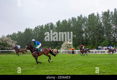 I jockey e i loro cavalli si riscaldano sull'ippodromo preparandosi per l'evento 2008 Gold Cup Steeplechase presso l'ippodromo Scone Palace Park, vicino a Perth, in Scozia, Regno Unito Foto Stock