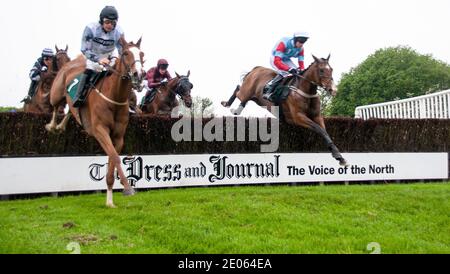 I jockey con i loro cavalli in azione saltano sopra la recinzione dell'ippodromo durante l'evento della Gold Cup 2008 Steeplechase all'Ippodromo di Scone Palace Park vicino a Perth in Scozia, Regno Unito Foto Stock