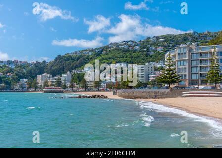 WELLINGTON, NUOVA ZELANDA, 8 FEBBRAIO 2020: Oriental Bay Beach a Wellington, Nuova Zelanda Foto Stock