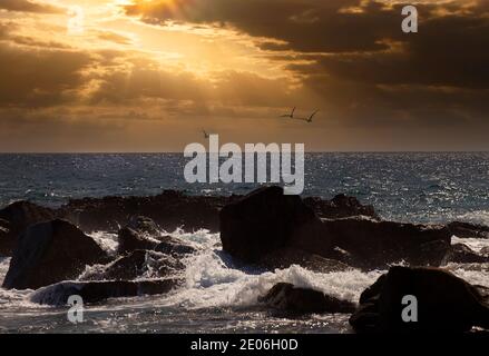 Tramonto sul mare di Cortez a Cabo San Lucas, Messico Foto Stock