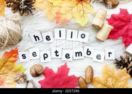 Ciao settembre parole su bianco con cornice autunno di foglie e coni Foto Stock