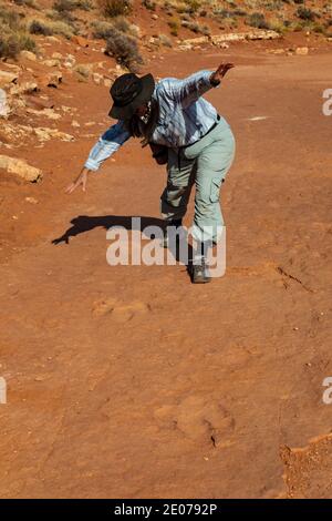 Trackway di un dinosauro Dilophosaurus che mangia carne, theropod bipedale che pesava fino a 1,000 libbre, nel sito dei dinosauri della Warner Valley di BLM vicino a St. Foto Stock