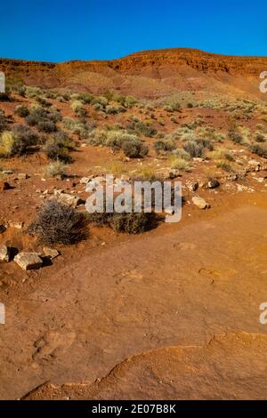 Trackway di un dinosauro Dilophosaurus che mangia carne, theropod bipedale che pesava fino a 1,000 libbre, nel sito dei dinosauri della Warner Valley di BLM vicino a St. Foto Stock