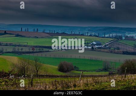 A dramatic sky in winter of the small hills and typical Tuscane trees in south Limburg in the Netherlands Foto Stock