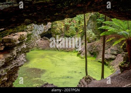 Arco di Trowutta nella foresta di Tarkine in Tasmania, Australia Foto Stock