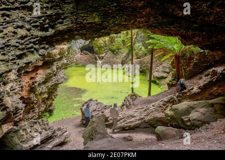 Arco di Trowutta nella foresta di Tarkine in Tasmania, Australia Foto Stock