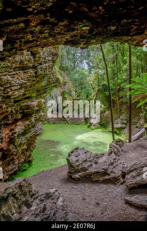 Arco di Trowutta nella foresta di Tarkine in Tasmania, Australia Foto Stock