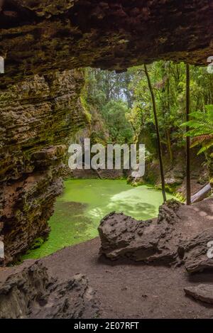 Arco di Trowutta nella foresta di Tarkine in Tasmania, Australia Foto Stock