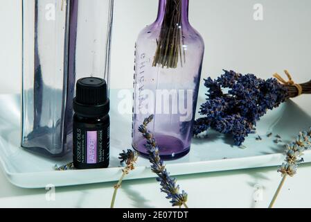 Piante di lavanda in bottiglie con oli essenziali, su fondo bianco. Foto Stock