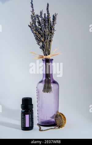 Piante di lavanda in bottiglie con oli essenziali, su fondo bianco. Foto Stock