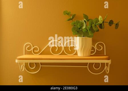 Semplice decorazione delle pareti con vaso bianco e pianta verde. Le linee semplici e il pallet a colori sono impressionanti quando appesi su una parete con colori complementari. Foto Stock