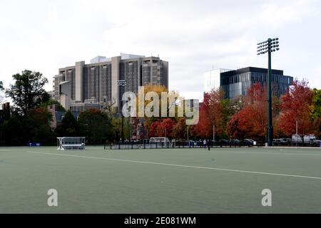 Toronto, Canada - 24 ottobre 2019: Robarts Library presso l'Università di Toronto con il colore delle foglie autunnali a Toronto, Canada. Foto Stock
