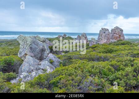 Bluff Hill Point a Tasmania, Australia Foto Stock