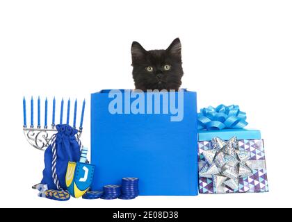 Adorabile gattino nero sbirciato da un regalo di Hanukkah blu con dreidel, menorah, monete e altri regali circostanti. Isolato su sfondo bianco Foto Stock