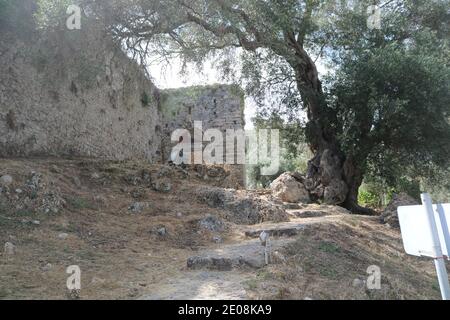 Gardiki Castello e albero Foto Stock