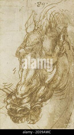 Leonardo da Vinci - recto la testa di un cavallo. Foto Stock