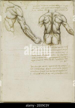 Leonardo da Vinci - recto i muscoli della schiena e del braccio. Foto Stock