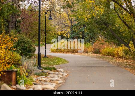 Prince's Island Park, paesaggio autunnale nel centro di Calgary, Alberta, Canada. Foto Stock