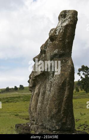 Sito AHU Akivi, situato a nord di Hanga Roa, l'AHU Akivi è l'unica piattaforma che le statue MAOI si affacciano sul Pacifico. Secondo la tradizione, essi rappresentano i sette emissari inviati in riconoscimento HotU Matu'a, che divenne il primo re dell'isola. Così, il Moai, che si affaccia verso le Marquesas e l'isola di Hiva scomparve o hanno avuto origine dal popolo Rapa Nui, Isola di Pasqua, Cile, 19 luglio 2007.Site d'AHU Akivi, situe au nord d'Hanga Roa, l'AHU Akivi est la seule plate forme dont les statues maoi sont tournees vers le Pacifique. Selon la tradizione, elles rappresentent les sep Foto Stock