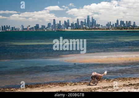 Skyline del CBD di Melbourne visto attraverso Port Phillip Bay da Middle Brighton, Victoria, Australia Foto Stock