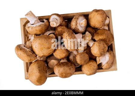 Funghi interi freschi isolati su sfondo bianco. Vista dall'alto. Foto Stock