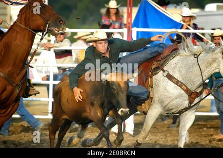 I cowboys competere in azione di rodeo Foto Stock