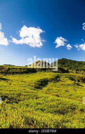 Ked Ra Ngchemiangel, Kamyangel terrazze, semplicemente 'Ked' o 'terrazza', antica collina a schiera fatta dall'uomo, Isola di Babeldaob, Palau, Micronesia, Oceania Foto Stock