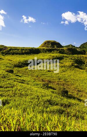 Ked Ra Ngchemiangel, Kamyangel terrazze, semplicemente 'Ked' o 'terrazza', antica collina a schiera fatta dall'uomo, Isola di Babeldaob, Palau, Micronesia, Oceania Foto Stock